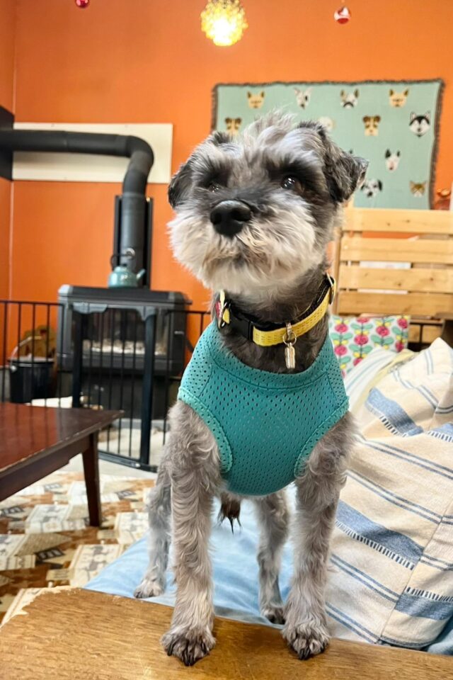 この素敵なお部屋で、自分ちのように過ごしていたらしい。