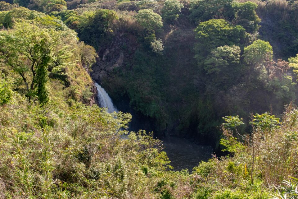 うーん、もうちょっと見えてたらなあ