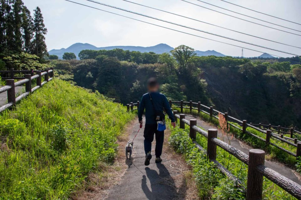 ちよまるの散歩には良いコースでした